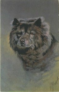 Artist impression Chow Chow #104 Postcard Stahl 10208