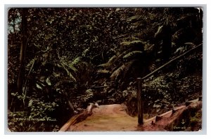 Pathway To Katoomba Falls Blue Mountains National Park Australia DB Postcard Y6