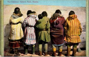 Women Carrying Babies on Their Backs The Eskimo Natural Pack Alaska Postcard M77