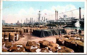 Postcard Cotton On the Levee Shipping Scene in New Orleans, Louisiana