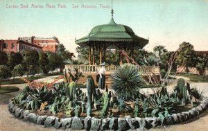 Vintage Postcard 1916 Cactus Bed Alamo Plaza Park Cacti Species San Antonio TX