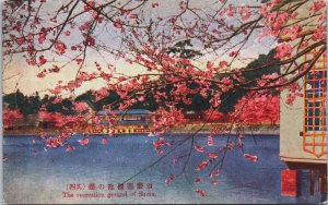 Japan The Recreation Ground of Suma Vintage Postcard C187