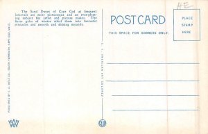 Sand Dunes and Surf Cape Cod, Massachusetts MA Postcard