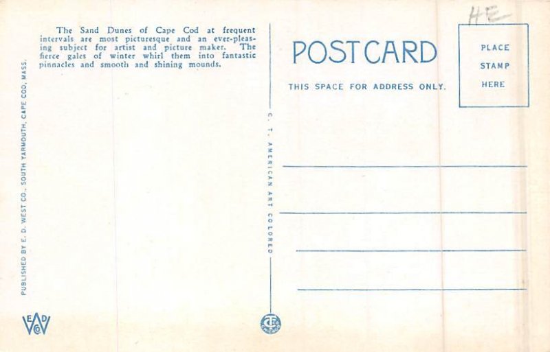 Sand Dunes and Surf Cape Cod, Massachusetts MA Postcard