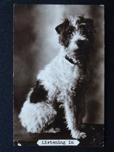 Dog Portrait TERRIER Breed LISTENING IN c1941 RP Postcard