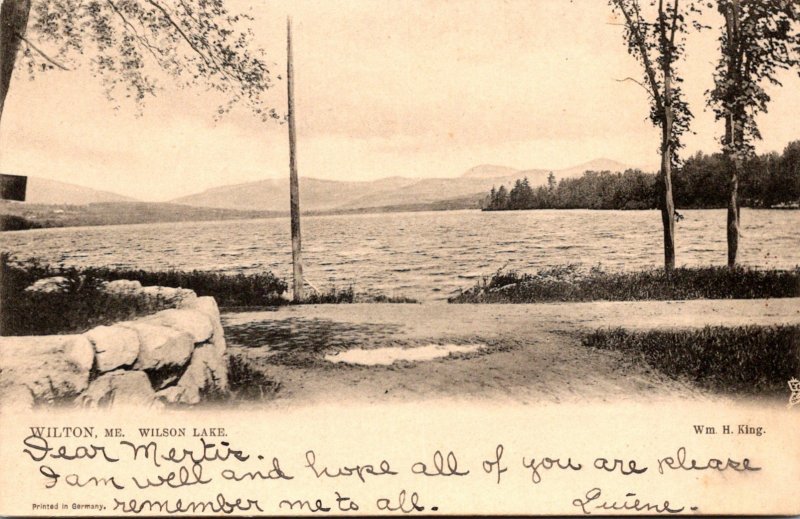 Maine Wilton View Of Wilson Lake 1906 Tucks