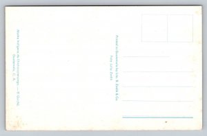 Mother Indian Chichacastenango Indian  Guatemala    Postcard