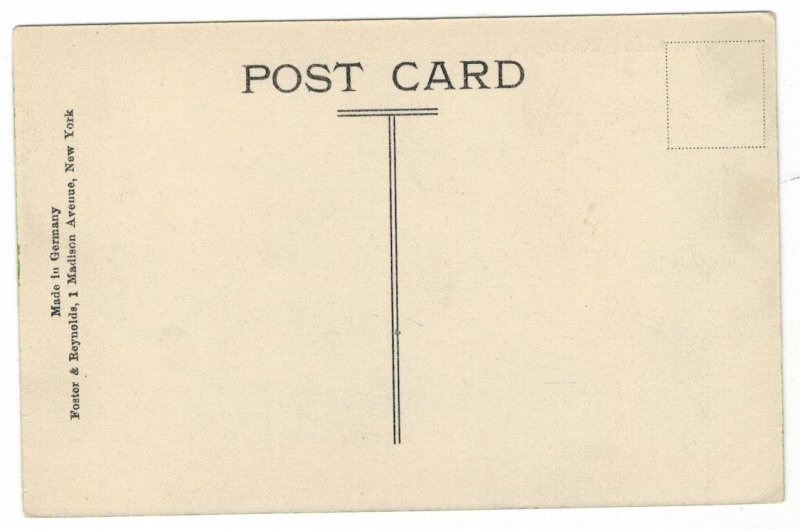 United States 1910 Unused Postcard Washington DC White House