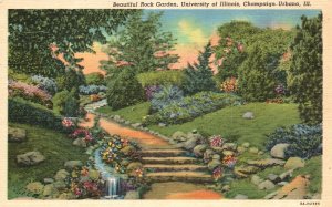Vintage Postcard 1930's Rock Garden University of Illinois Champaign-Urbana ILL