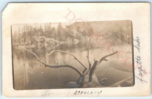 c1910s Wyoming Fayette Lake RPPC Outdoor Scenery Real Photo Postcard Tree A99