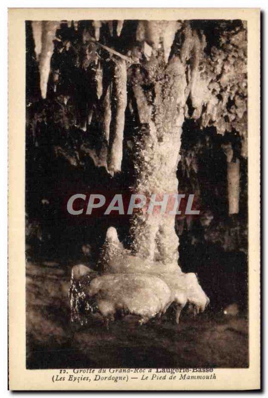 Old Postcard Grotte du Grand Roc Laugerie Lower Foot mammoth