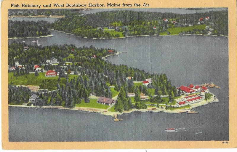 Aerial View of Fish Hatchery and West Boothbay Harbor Maine Mailed 1957