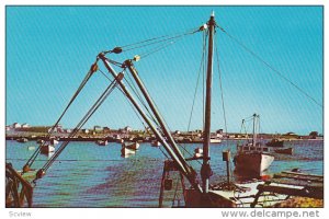 Fisherman's Harbor , Etang Du Nord , Magadalen Islands , Quebec , Canada , 40...