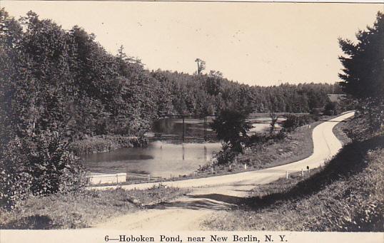 Hoboken Pond Near New Berlin New York Real Photo