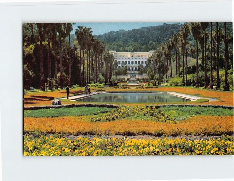 Postcard Le Jardin d'Essai, Algiers, Algeria