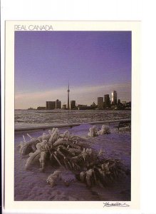 Skyline After Icestorm, Toronto Real Canada, Ontario, Oversize