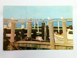 Vintage Postcard 1910s Waiting for Fishing Fleet at Point Judith Narragansett RI 