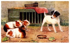 Dog  ,  Terrier  Puppy , rabbitts