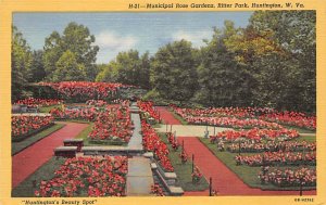 Municipal Rose Gardens, Ritter Park - Huntington, West Virginia WV  