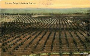 1912 Farming Agriculture Oregon Orchard Birdseye Portland postcard 2442
