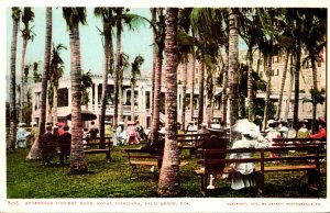 Florida Palm Beach Royal Poinciana Afternoon Concert Hour