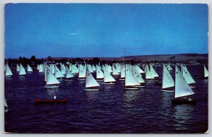 Balboa Bay California~Flight Of The Snowbirds Dinghy Sailboats~Vintage Postcard