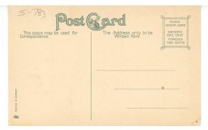 MA - Northampton. Jonathan Edwards Elm