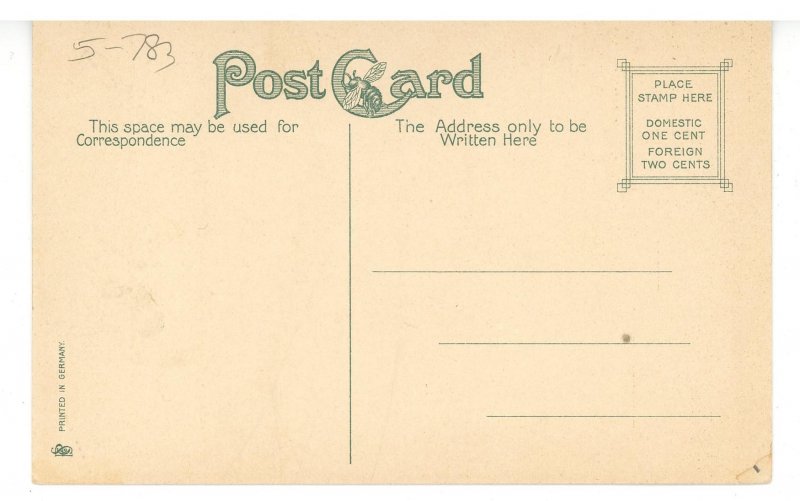 MA - Northampton. Jonathan Edwards Elm