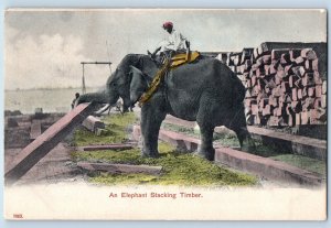 Worcester MA India Postcard An Elephant Stacking Timber c1910 Antique