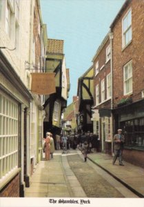 England York The Shambles