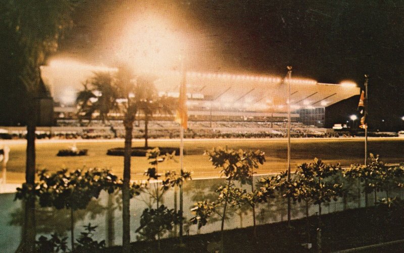 Vintage Postcard Hollywood Greyhound Dog Racing Track at Night Florida FL