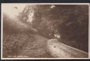 Hampshire Postcard - Pook Lane, Havant DD219