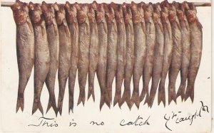 Just a line. Fishes Tuck Oilette Postcard # 9373