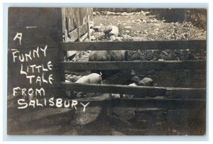 1906 A Funny Little Tale Pigs Salisbury Connecticut CT RPPC Photo Postcard