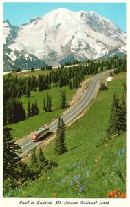 Vintage Postcard 1920's Road To Sunrise Mount Rainier National Park Washington