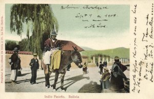 bolivia, LA PAZ, Indio Paceño Indian on Donkey (1908) Postcard