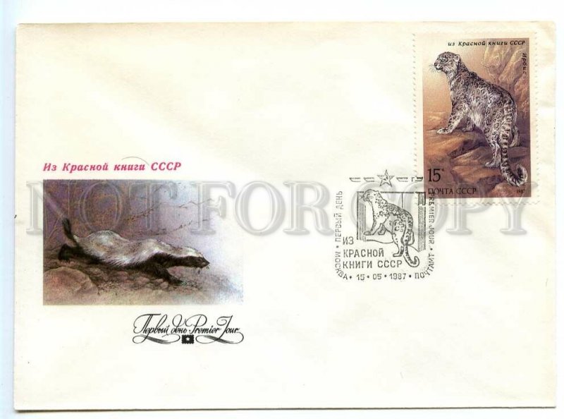 495215 USSR 1987 year FDC Isakov fauna of the Red Book Irbis leopard