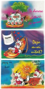 Lot of 3 continental size Valentine`s Day greetings postcards Romania comic cats