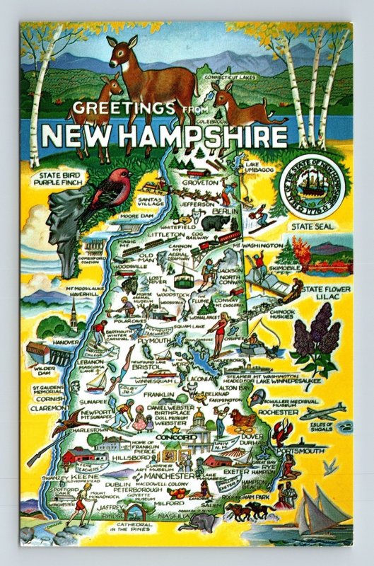 Greetings New Hampshire State Map Scenic Wildlife Cities Capitol DB Postcard