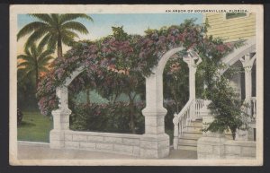 Florida An Arbor of Bouganvillea pm1925 ~ WB