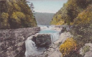 New York Letchworth State Park Lower Falls Albertype