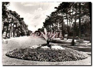 Modern Postcard La Rochelle CH March Mail