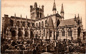 Vtg Chester Cathedral Cheshire England UK Antique Frith's Series Postcard