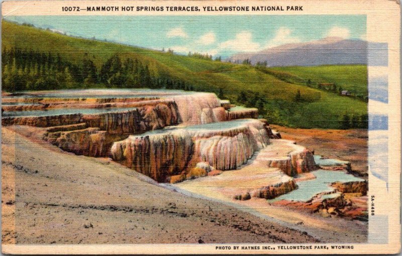 Yellowstone National Park Mammoth Hot Springs Terraces 1947 Curteich