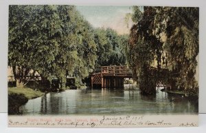Detroit Michigan Rustic Bridge Belle Isle 1908 Postcard B13