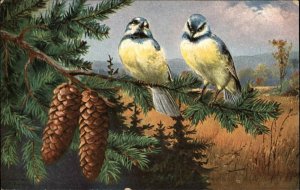 GA NOVELTY ART SERIES Bluebirds Blue Birds in Forest c1910 Postcard