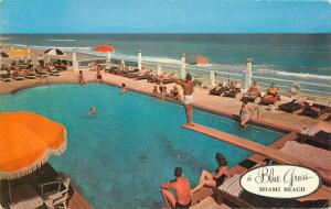 Blue Grass Hotel Swimming Pool 1957 Miami Beach Florida Colorpicture 8404
