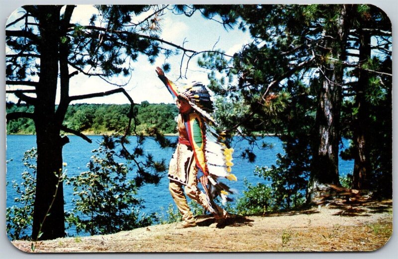 Vtg Michigan MI Indian Tribal Dance Brave Native American 1950s View Postcard