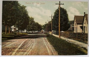 Barton Vermont Park Street Postcard A20