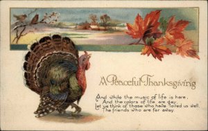 Peaceful Thanksgiving Turkey Series 29 c1910 Postcard